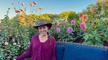 How I Overwinter Potted Plants In My Container Garden🪴