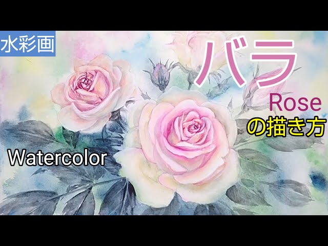 Watercolor painting]/How to draw [Rose] with transparent