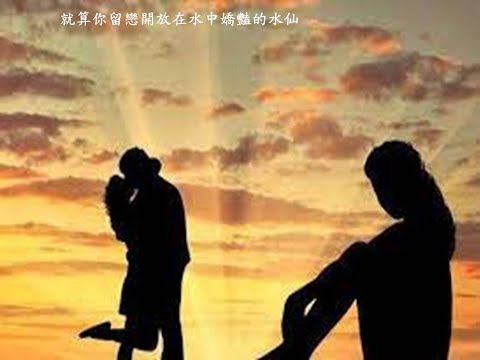 1048  校園民歌  野百合也有春天  潘越雲  7之7  哆啦F勇  dlfu  沈建志  請訂閱  請按讚