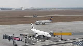 Lufthansa Airbus Pushback On Leipzig Airport Eddp