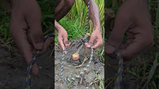 Primitive Rope Trap Setup 🔥 Easy Survival Snare That Actually Works!