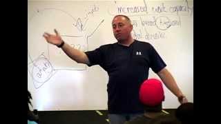 Adaptations - Part 2