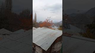 Yapraklar Havada Uçuş Karyeli Es Kargelecek Üzgar