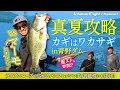 "重スト"が炸裂!! マーモが真夏の青野ダム攻略｜ライブスコープで広がるバスフィッシングの可能性にも注目!!