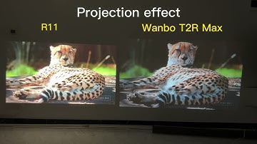 Wanbo T2R Max vs Everycom R11