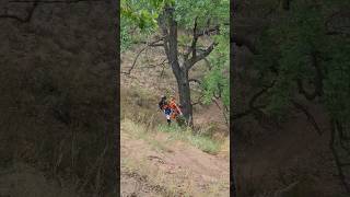 Эндуристы против деревьев! Enduro VS Trees.  #279 #enduro #hardenduro #endurocrash