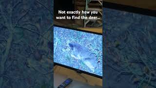 ODRC Finding a Good Buddies Deer |  NOT EXACTLY HOW YOU WANT TO FIND THEM