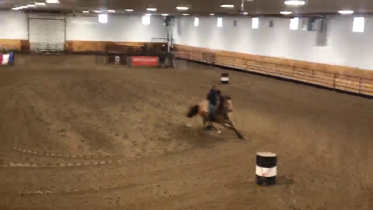 Barrel Horse For Sale YouTube