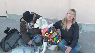 Non-Profit helps homeless pets in Northern New Mexico