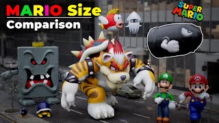 Mario Size Comparison Super Mario And Game Characters Size Comparison