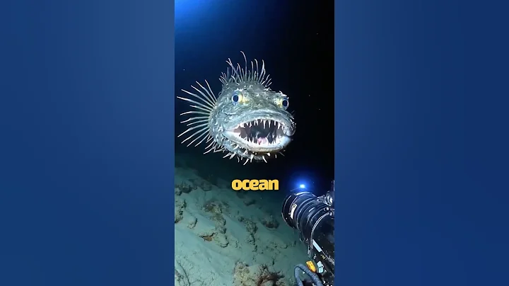 What Happens if You Nuke the Mariana Trench? #shorts