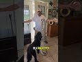 Dog Door Training Tips: Stop Your Dog from Running Out