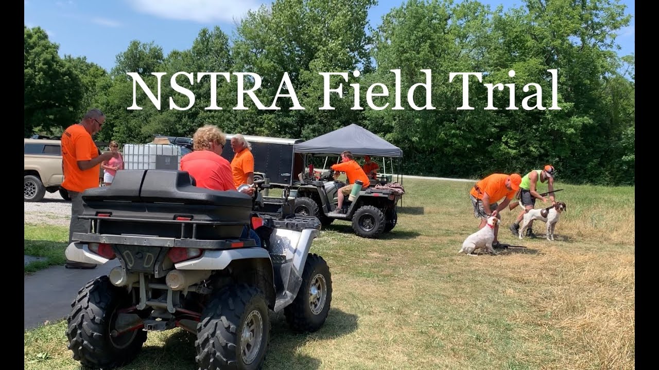 Summer Field Trialing with NSTRA