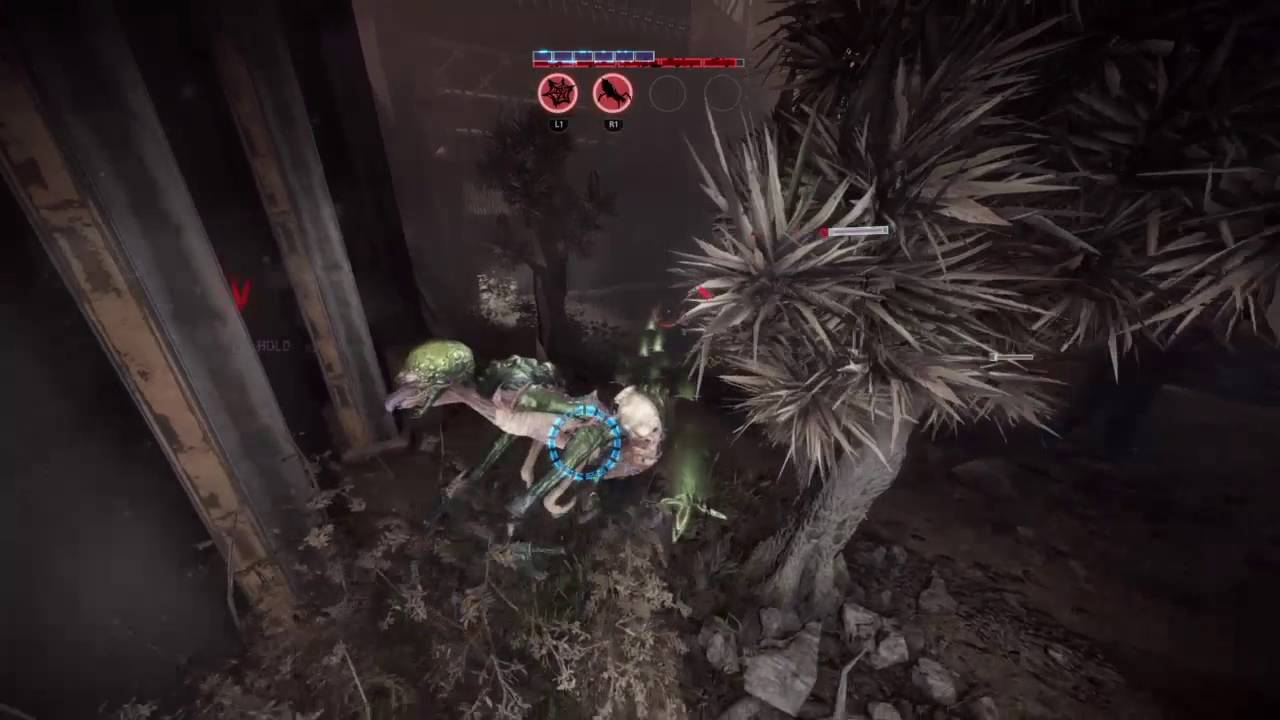 Evolve pest control YouTube