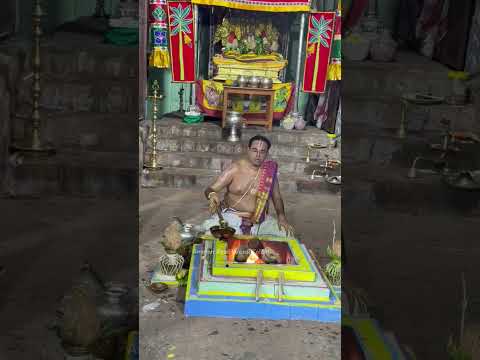 #ஜேஷ்டாபிஷேக தைல பிரதிஷ்டை மஹாற்சவம் #திருக்கோஷ்டியுர் #short #viral #perumal #yt