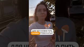 ЕЖОВИК ГРЕБЕНЧАТЫЙ ПОЛЬЗА #грибы #лекарственныегрибы #ежовик #нутрициолог