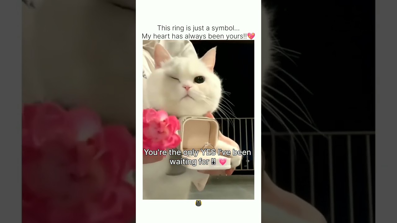 Tag Him/Her 💗🎀..