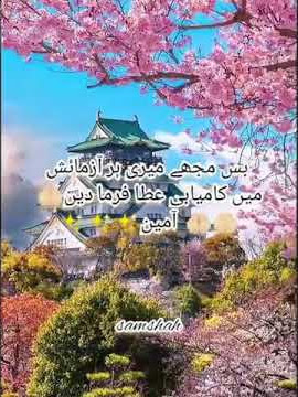 love with Allah status snack video