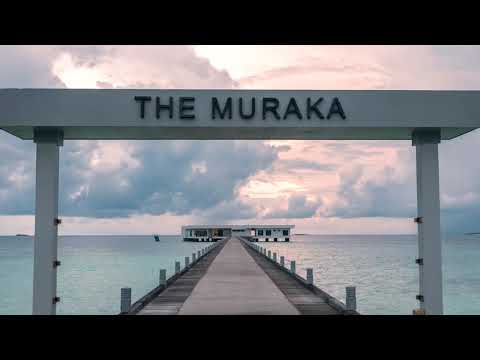 THE MURAKA at Conrad Maldives Rangali Island