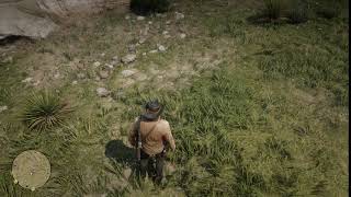 Red Dead Redemption 2 Shadow Glitch
