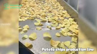 High-Efficiency Stainless Steel Potato Chips Production Line
