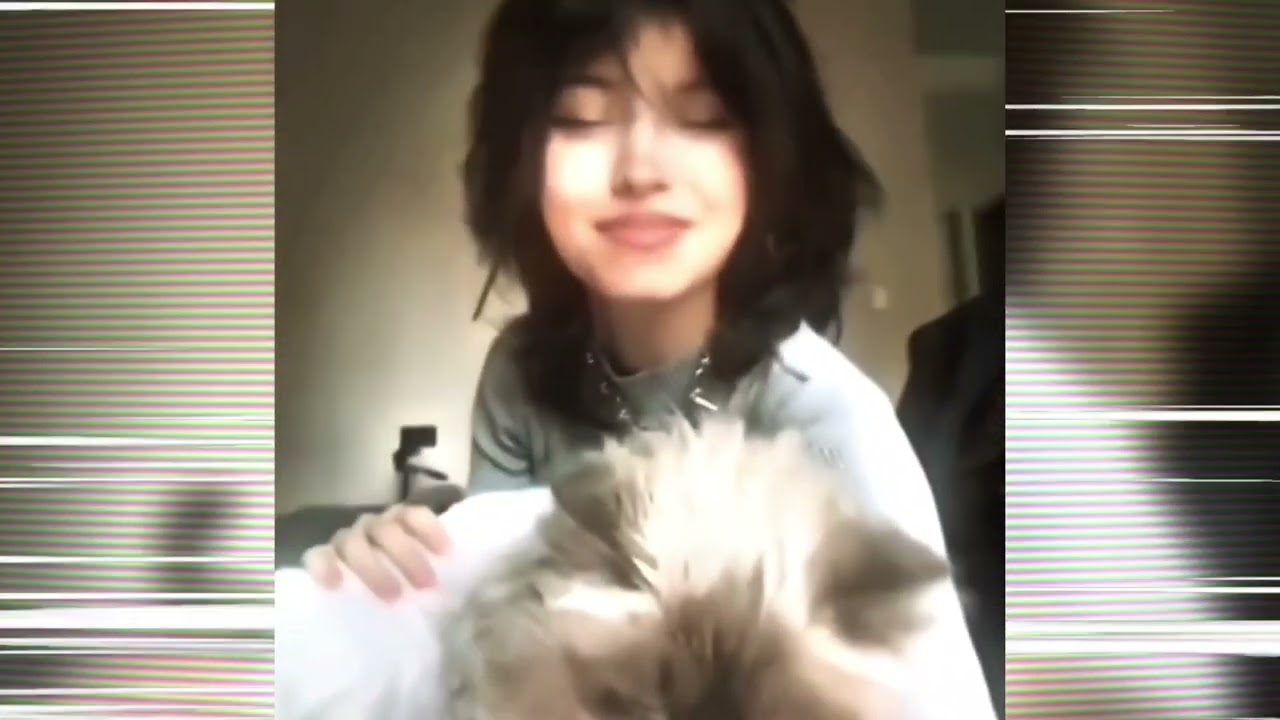 RUSH LAUGH FUNK | Aggressive Car Edit 🔥 