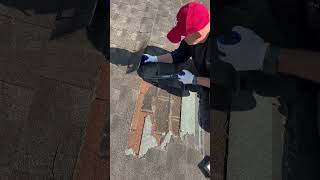 IMG 6127