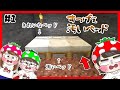 【マイクラサバイバル#1】エンドラ倒したい！！サバイバル初心者家族がついに冒険始めました…ｗ　リクエスト