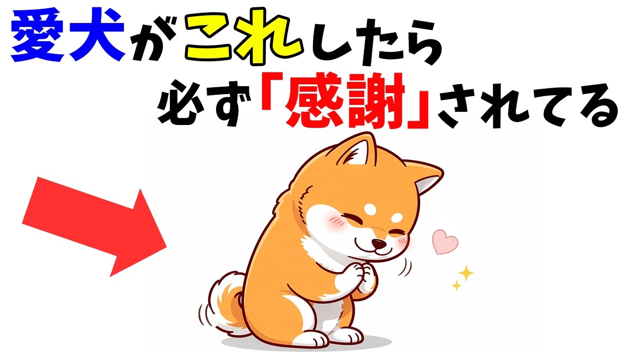 【知ってた？】愛犬から大好きなご主人だけに伝える感謝のサイン1２選！
