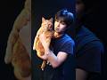 #shorts #blackpink #lisa #taeyang #shoong #shoongchallenge #cat