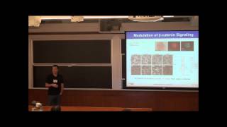 GEM4 2012 @ MIT - Stem Cell Engineering: Challenges, Opportunities & Strategies