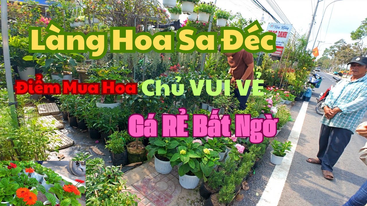 Làng Hoa Sa Đéc | Địa điểm mua hoa giá rẻ bất ngờ.