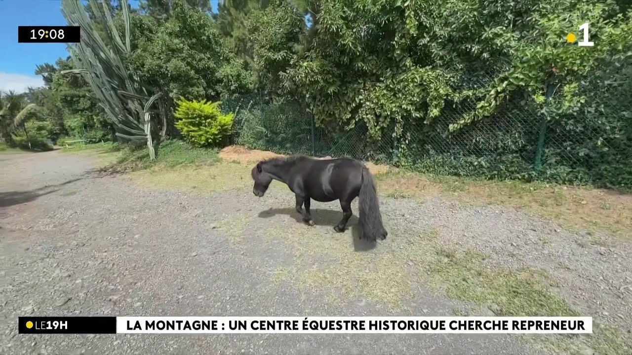 Le centre équestre de La Montagne est à vendre ! Le propriétaire le cèdera pour un million d'euros