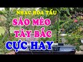 Liên Khúc Nhạc Organ Disco Cha Cha - SÁO MÈO TÂY BẮC NGHE CỰC HAY - Đỉnh Cao Nhạc Hòa Tấu P0093