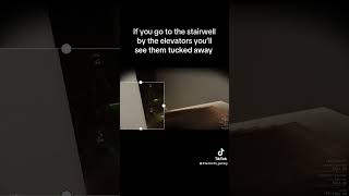 Have you seen them? #gaming #readyornot #readyornotgame #shorts #shortsfeed #streamer #viral #twitch