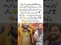 Even Police Got Confused Seeing This 😱🪖 #Viral #Funny #Pakistan #Unbelievable #Trending #MustWatch