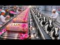 Inside the Luxury Soap Factory – From Raw Materials to Perfect Soap Bars
