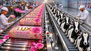 Inside the Luxury Soap Factory – From Raw Materials to Perfect Soap Bars