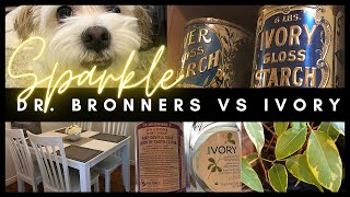 How to Clean Just About EVERYTHING! | Dr. Bronner's & Ivory is all you need!