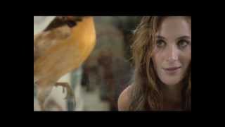 Micromax Canvas 2 Plus TVC (Official) screenshot 5