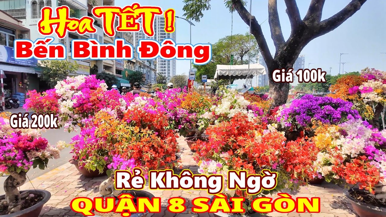Rẻ Không Ngờ! Chợ Hoa Bến Bình Đông Quận 8 Sài Gòn