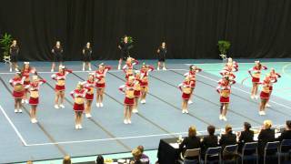 Dynamite Dolphins RM 2011