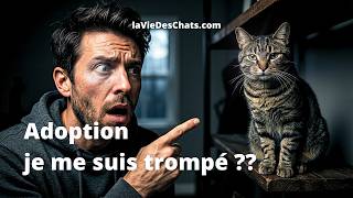 ADOPTION : VOUS PENSEZ CHOISIR VOTRE CHAT ? VOUS VOUS TROMPEZ