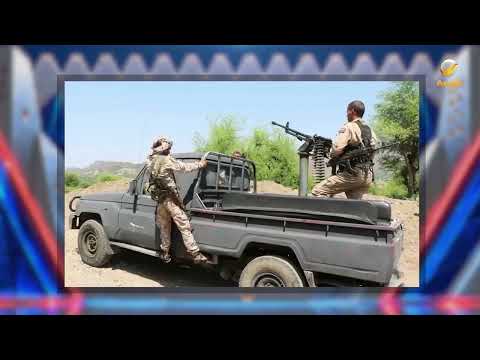 Yemeni Forces Announce Control of Bab al-Mandab and Dhubab Airport as Part of Operation "Dawn of ...