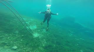 Vortex Springs August 2018