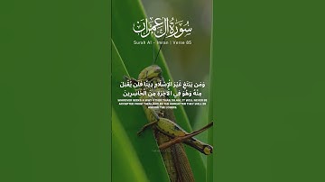 سوره آل عمران آیه 85 86 [تلاوت قرآن] #تلاوت #قرآن #قرآن #ترجمه #سوره