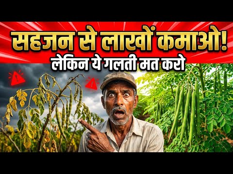 सहजन खेती में ये चूक भारी पड़ेगी | 90% किसान यही गलती करते हैं! Moringa Farming Guide | Drumstick