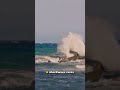 “1 Asteroid + Ocean = Global Disaster 🌊☄️”#shorts #space #fyp#knowledge