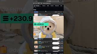 Cooking With The Gang