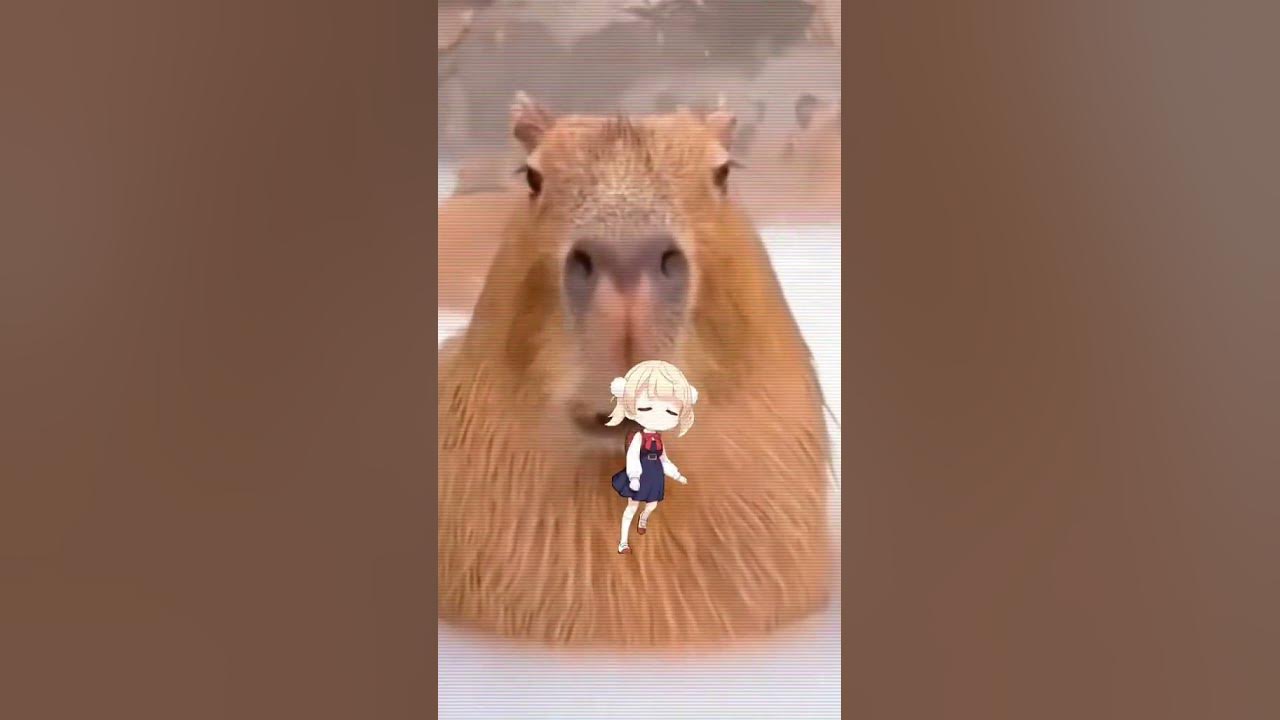 Великая Капибара ️#shorts #shortvideo #capybara #капибара #цитаты - YouTube